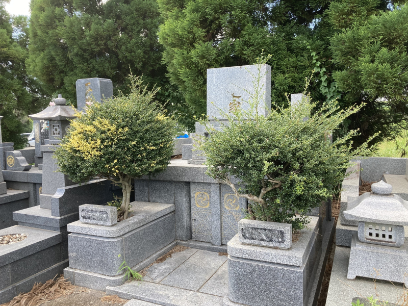 設置前